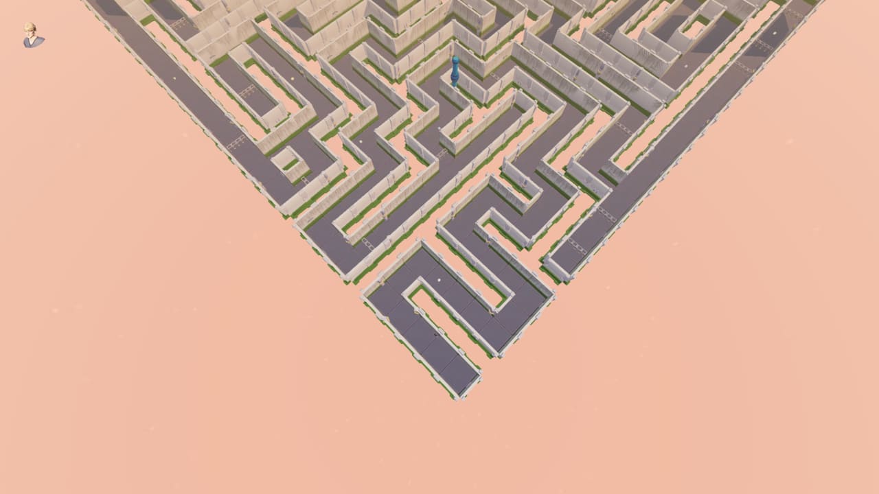 The maze arena from above at dusk: dozens of walled corridors folding back on themselves.